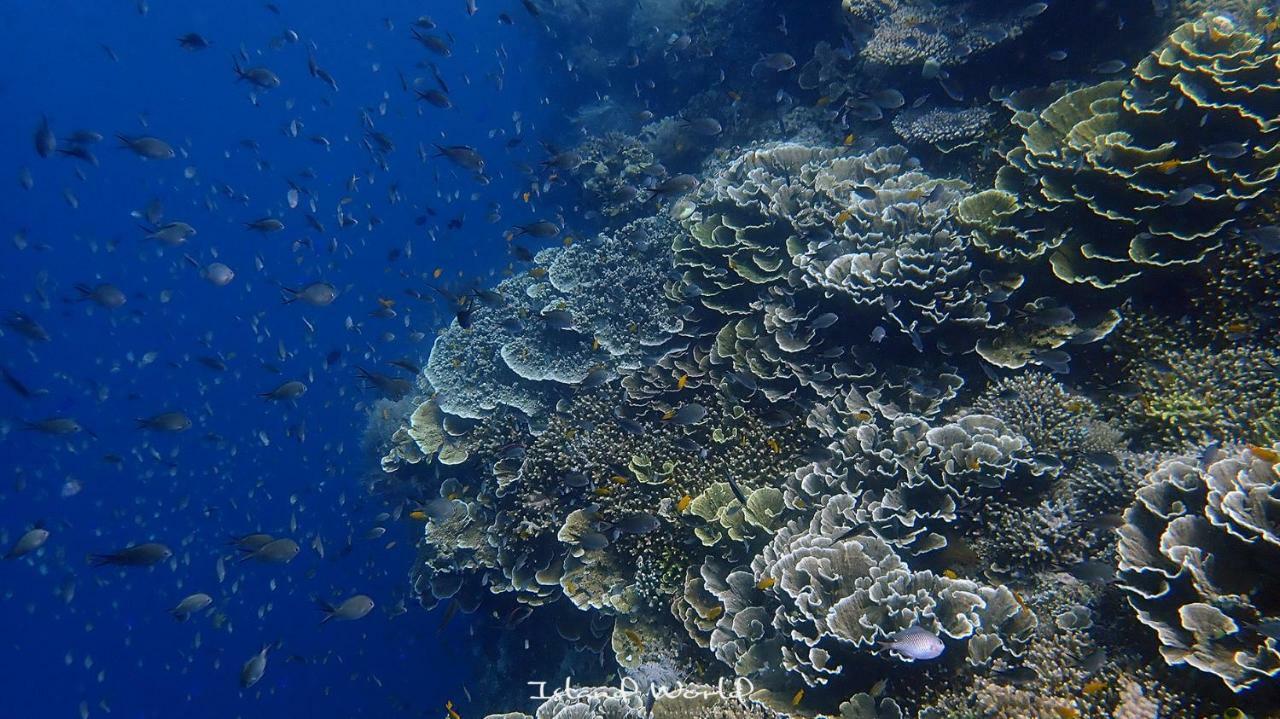 فندق Island World بنغلاو المظهر الخارجي الصورة